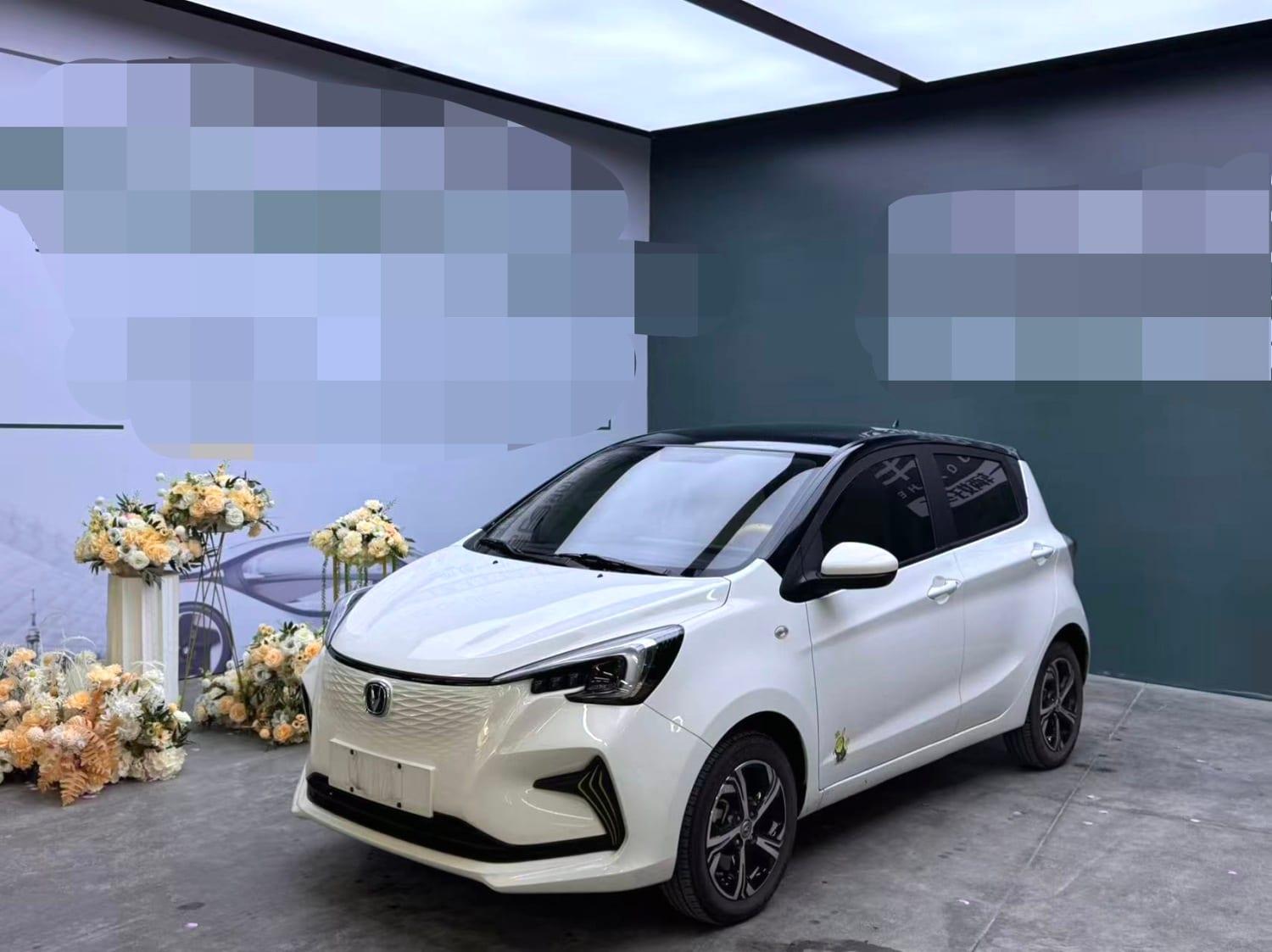 2020 Changan Benben E-Star Heartbeat Edition — مستعمل SUV